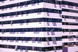 华体会官网下载-中国篮球职业联赛青训体系建设与优化，中国青年篮球队