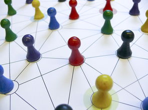 华体会真体育娱乐-中国篮球教练员领导力培养路径，中国篮球协会篮球教练员等级