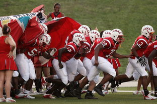 华体会官网体育-全国青少年长跑赛在南京掀起跑步热潮，青少年长跑标准