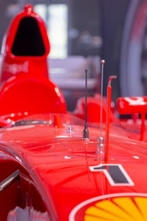 华体会入口-全国青少年旱地冰球锦标赛在哈尔滨精彩展开，旱地冰球比赛时间